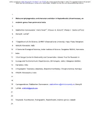 Acanthaceae), An