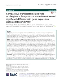 Comparative Transcriptome Analyses of Oleaginous Botryococcus Braunii