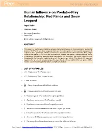 Red Panda and Snow Leopard, Which Are the Major Species in the Mountain Ecosystem