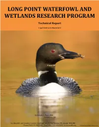 Long Point Waterfowl and Wetlands Research Program