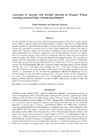 NJZ Online Vol. 2, Issue 1
