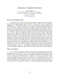 Solarization for Vegetable Weed Control