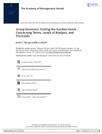 Group Emotions: Cutting the Gordian Knots Concerning Terms, Levels of Analysis, and Processes