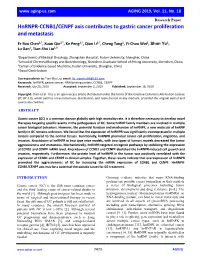 Hnrnpr-CCNB1/CENPF Axis Contributes to Gastric Cancer Proliferation and Metastasis