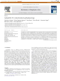 Cyclophilin D in Mitochondrial Pathophysiology