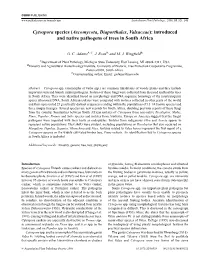 Introduced and Native Pathogens of Trees in South Africa