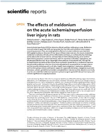 The Effects of Meldonium on the Acute Ischemia/Reperfusion Liver Injury in Rats