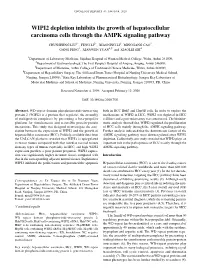 WIPI2 Depletion Inhibits the Growth of Hepatocellular Carcinoma Cells Through the AMPK Signaling Pathway