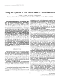 Cloning and Expression of SAG: a Novel Marker of Cellular Senescence