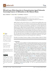 Mixed-Layer Illite-Smectite in Pennsylvanian-Aged Paleosols: Assessing Sources of Illitization in the Illinois Basin