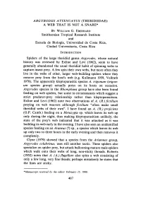 Theridiidae): a Web That Is Not a Snare* B' William G