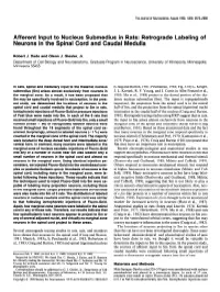Afferent Input to Nucleus Submedius in Rats: Retrograde Labeling of Neurons in the Spinal Cord and Caudal Medulla