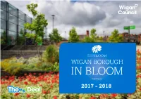 In Bloom Portfolio 2017