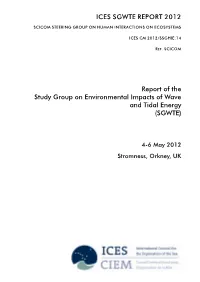 Report of the Study Group on Environmental Impacts of Wave and Tidal Energy (SGWTE)