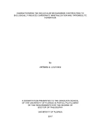University of Florida Thesis Or Dissertation Formatting