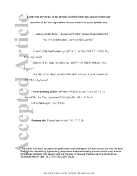 Long‐Term Prevalence of the Protists Crithidia Bombi And