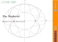 The Nephroid