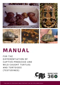 Manual for the Differentiation of Captive-Produced and Wild-Caught Turtles and Tortoises (Testudines)