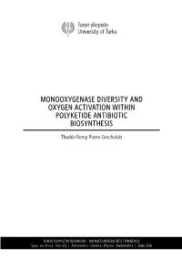 Monooxygenase Diversity and Oxygen Activation Within Polyketide Antibiotic Biosynthesis