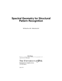 Spectral Geometry for Structural Pattern Recognition