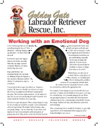 When He's Doing That – Barking, Lunging, Leapi