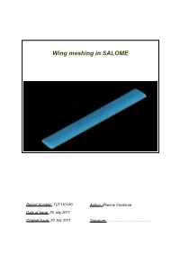 Wing Meshing in SALOME