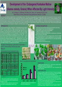 Development of the Endangered Kankakee Mallow (Iliamna Remota, Greene) When Affected by Light Intensity M.C