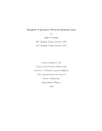 Dynamics of Quenched Ultracold Quantum Gases