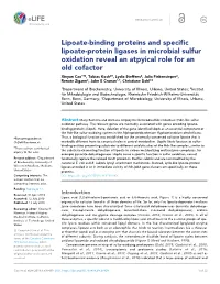 Lipoate-Binding Proteins and Specific Lipoate-Protein Ligases in Microbial