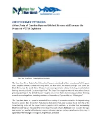 A Case Study of Carolina Bays and Ditched Streams at Risk Under the Proposed WOTUS Definition