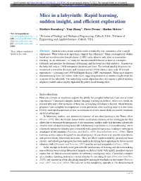 Mice in a Labyrinth: Rapid Learning, Sudden Insight, and Efficient Exploration