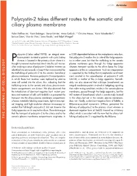 Polycystin-2 Takes Different Routes to the Somatic and Ciliary Plasma Membrane
