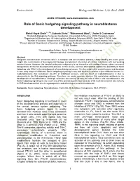 Role of Sonic Hedgehog Signaling Pathway in Neuroblastoma Development
