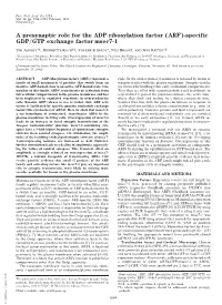 A Presynaptic Role for the ADP Ribosylation Factor (ARF)-Specific GDP͞GTP Exchange Factor Msec7-1
