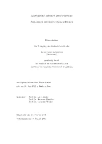 Anatomically Informed Basis Functions — Anatomisch Informierte Basisfunktionen