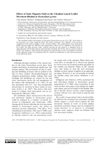 Effects of Static Magnetic Field on the Ultradian Lateral Leaflet Movement Rhythm in Desmodium Gyrans