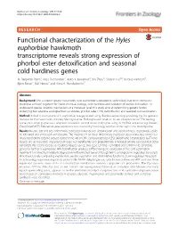 Functional Characterization of the Hyles Euphorbiae Hawkmoth