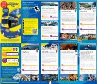Jump on Board! See the Big Attractions in Auckland with a 24 Or 48 Hour Pass