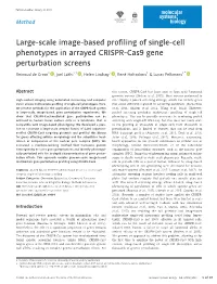 Large-Scale Image-Based Profiling of Single-Cell Phenotypes in Arrayed CRISPR-Cas9 Gene Perturbation Screens