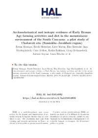 Archaeobotanical and Isotopic Evidence of Early Bronze Age