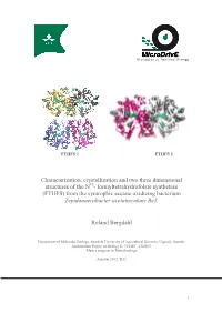 Formyltetrahydrofolate Synthetase (FTHFS) from the Syntrophic Acetate Oxidizing Bacterium Tepidanaerobacter Acetatoxydans Re1