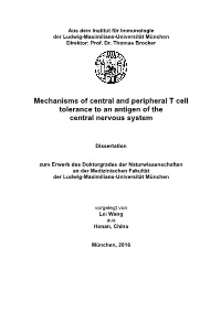 Mechanisms of Central and Peripheral T Cell Tolerance to an Antigen of the Central Nervous System
