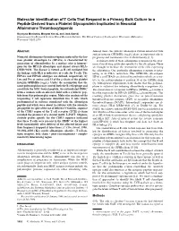 Molecular Identification of T Cells That Respond in a Primary Bulk Culture