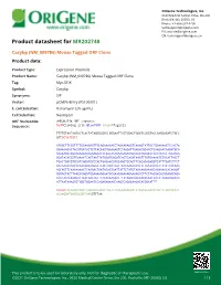 Cacybp (NM 009786) Mouse Tagged ORF Clone Product Data