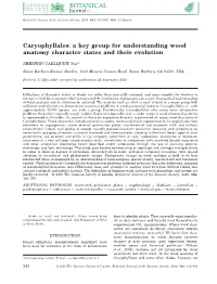Caryophyllales: a Key Group for Understanding Wood