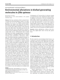 Environmental Alterations in Biofuel Generating Molecules in Zilla Spinosa