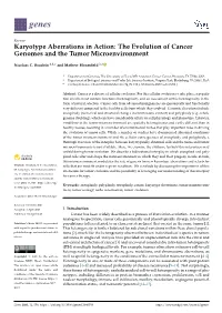 Karyotype Aberrations in Action: the Evolution of Cancer Genomes and the Tumor Microenvironment