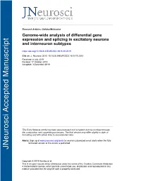 Genome-Wide Analysis of Differential Gene Expression and Splicing in Excitatory Neurons and Interneuron Subtypes