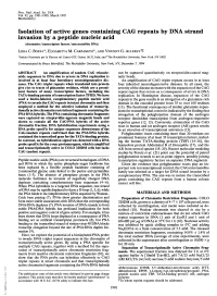 Isolation of Active Genes Containing CAG Repeats by DNA Strand Invasion by a Peptide Nucleic Acid (Chromatin/Transcription Factors/Microsatellite DNA) LIDIA C