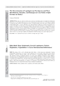 The Determination of Lepidopterous Pest Species and Their Distributions, Densities, and Damages in Corn Fields of Iğdır Province in Turkey*